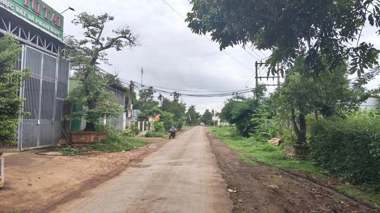 Mặt tiền kinh doanh 255m² Nguyễn Xuân Nguyên, Tân An - Ảnh 1