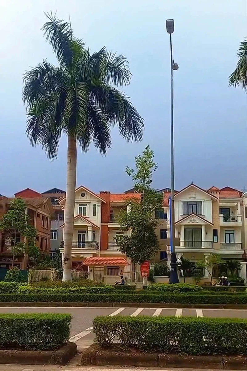 Bán biệt thự 266m² mặt tiền 15m Trần Hưng Đạo Lào Cai - Ảnh thu nhỏ 5