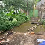 Bán đất 60m² Lương Thế Vinh, Buôn Ma Thuột, 4,25 tỷ - Ảnh thu nhỏ 3