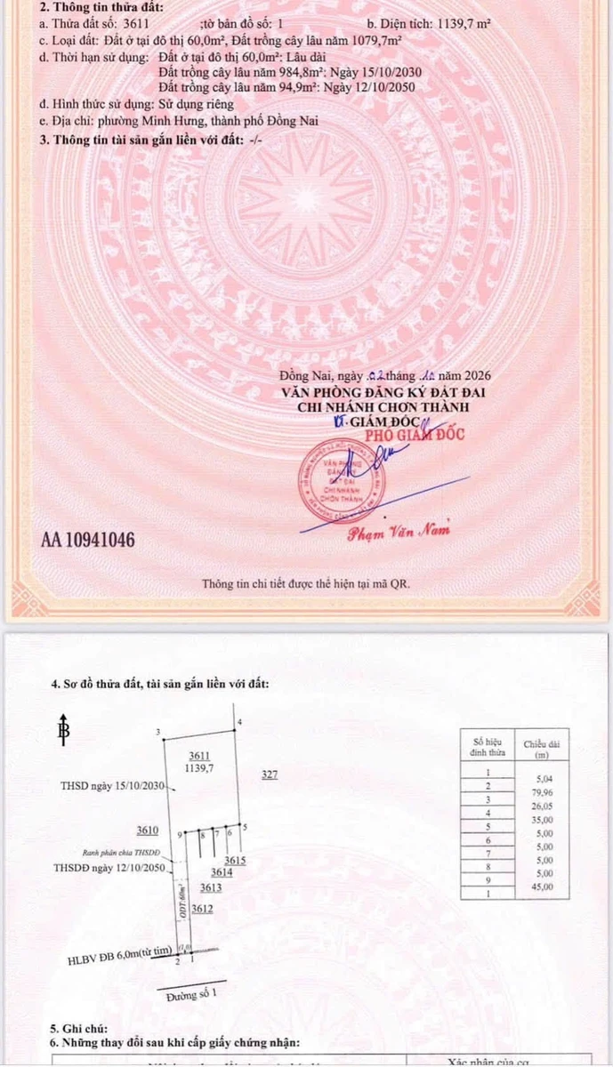 Bán đất sào hơn 1000m2 thổ cư 695 triệu Bình Dương - Ảnh thu nhỏ 2