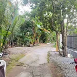 Bán đất nền 149m tại Nguyễn Thanh Sơn, Nhà Bè, 750 triệu - Ảnh thu nhỏ 2