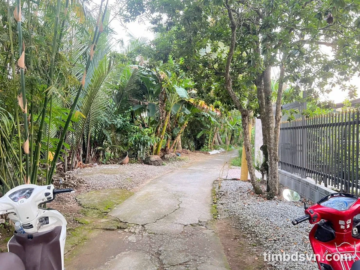 Bán đất nền 149m tại Nguyễn Thanh Sơn, Nhà Bè, 750 triệu - Ảnh thu nhỏ 2
