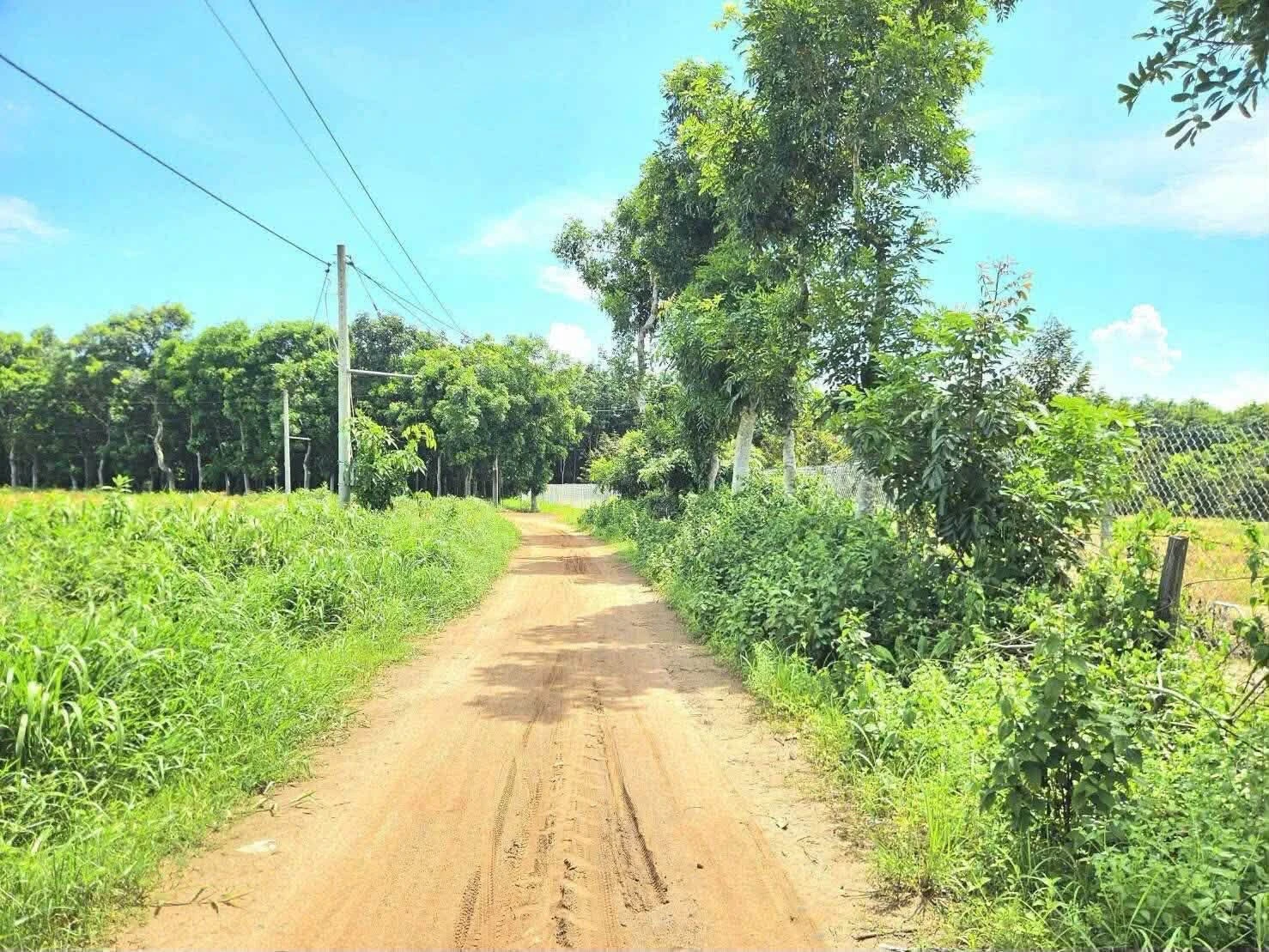 Bán lô đất Hớn Quản 200m² giá 125 triệu - Ảnh 1