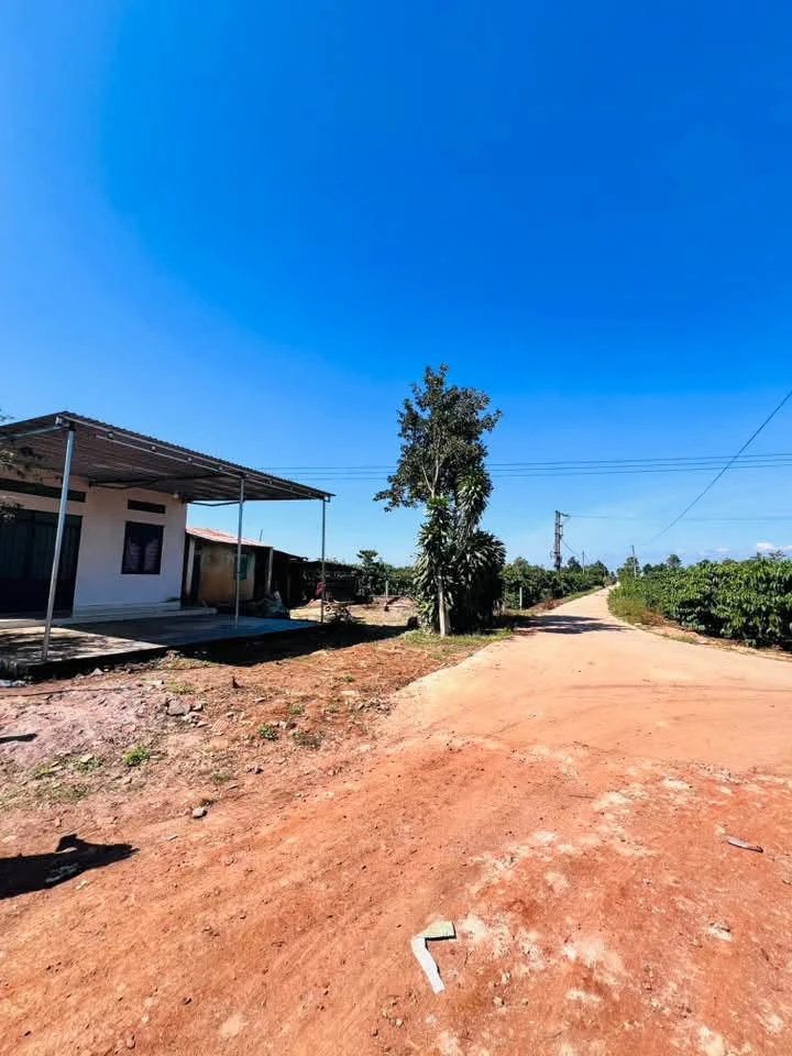 Bán đất nguyên lô 160m² Xã Biển Hồ 250 triệu - Ảnh 1