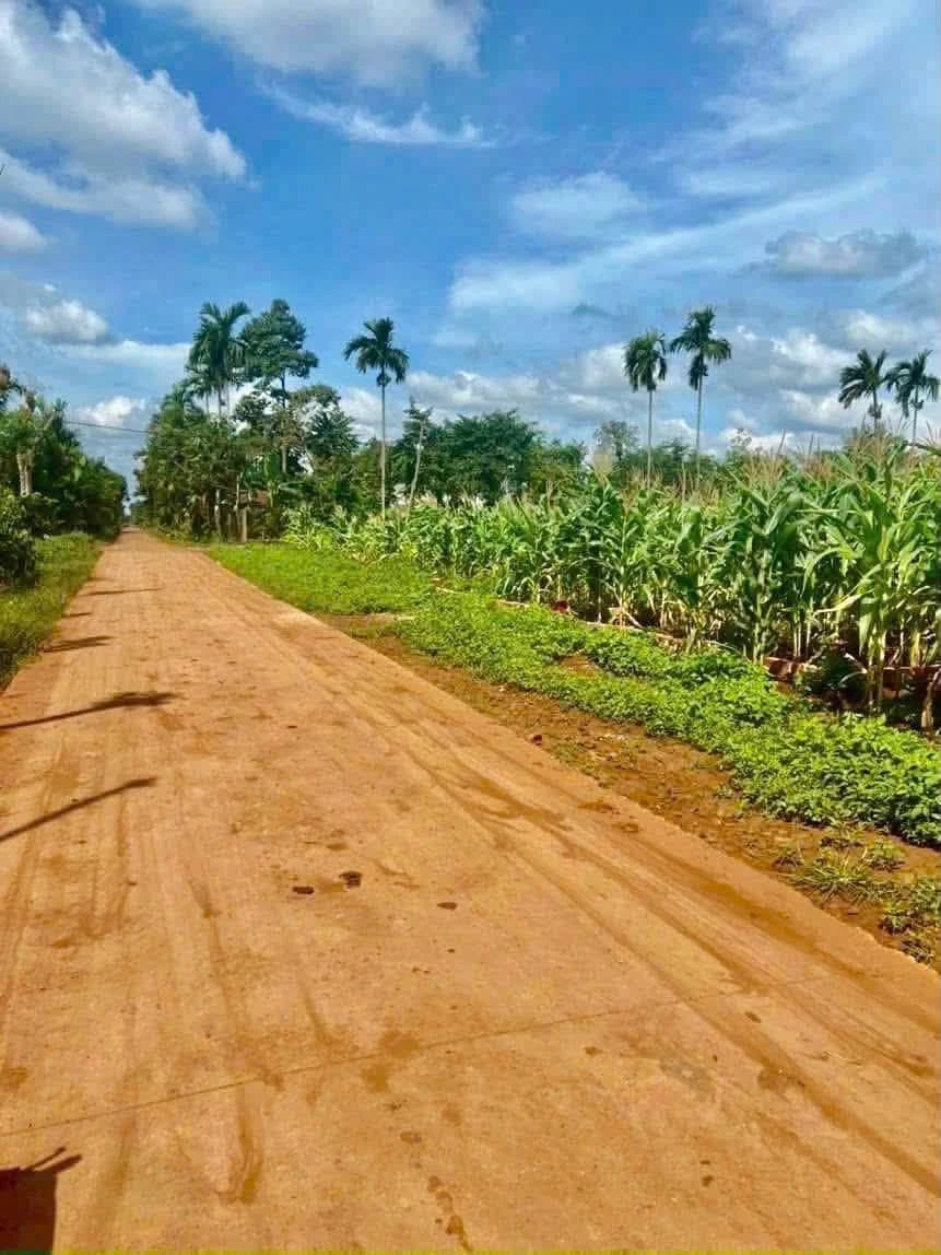 Bán lô đất 5x35m đường 8KC Hoà Thuận, Phường Tân An, Buôn Ma Thuột giá 950 triệu - Ảnh thu nhỏ 2