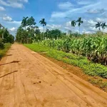 Bán lô đất 5x35m đường 8KC Hoà Thuận, Phường Tân An, Buôn Ma Thuột giá 950 triệu - Ảnh thu nhỏ 2