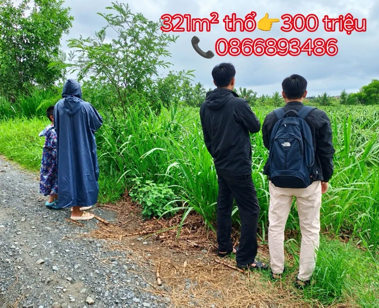 Bán đất thổ 321m² mặt tiền 12m Châu Thành Long An