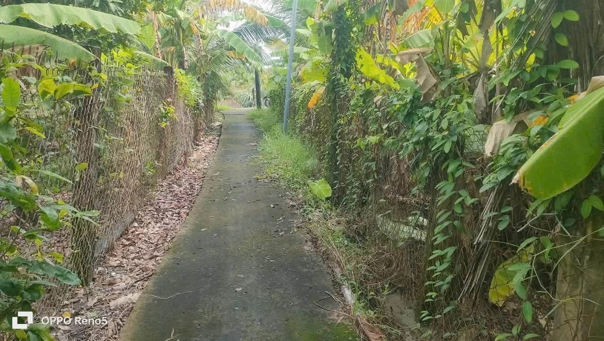 Bán 1340m2 đất lúa và đất vườn gần Cầu Đình, Phước Tân Hưng, Châu Thành, Long An - Ảnh thu nhỏ 2