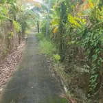 Bán 1340m2 đất lúa và đất vườn gần Cầu Đình, Phước Tân Hưng, Châu Thành, Long An - Ảnh thu nhỏ 2