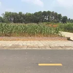Bán đất 106.6m² gần Cụm CN Bắc Lâm Thao, Bình Chánh - Ảnh thu nhỏ 1