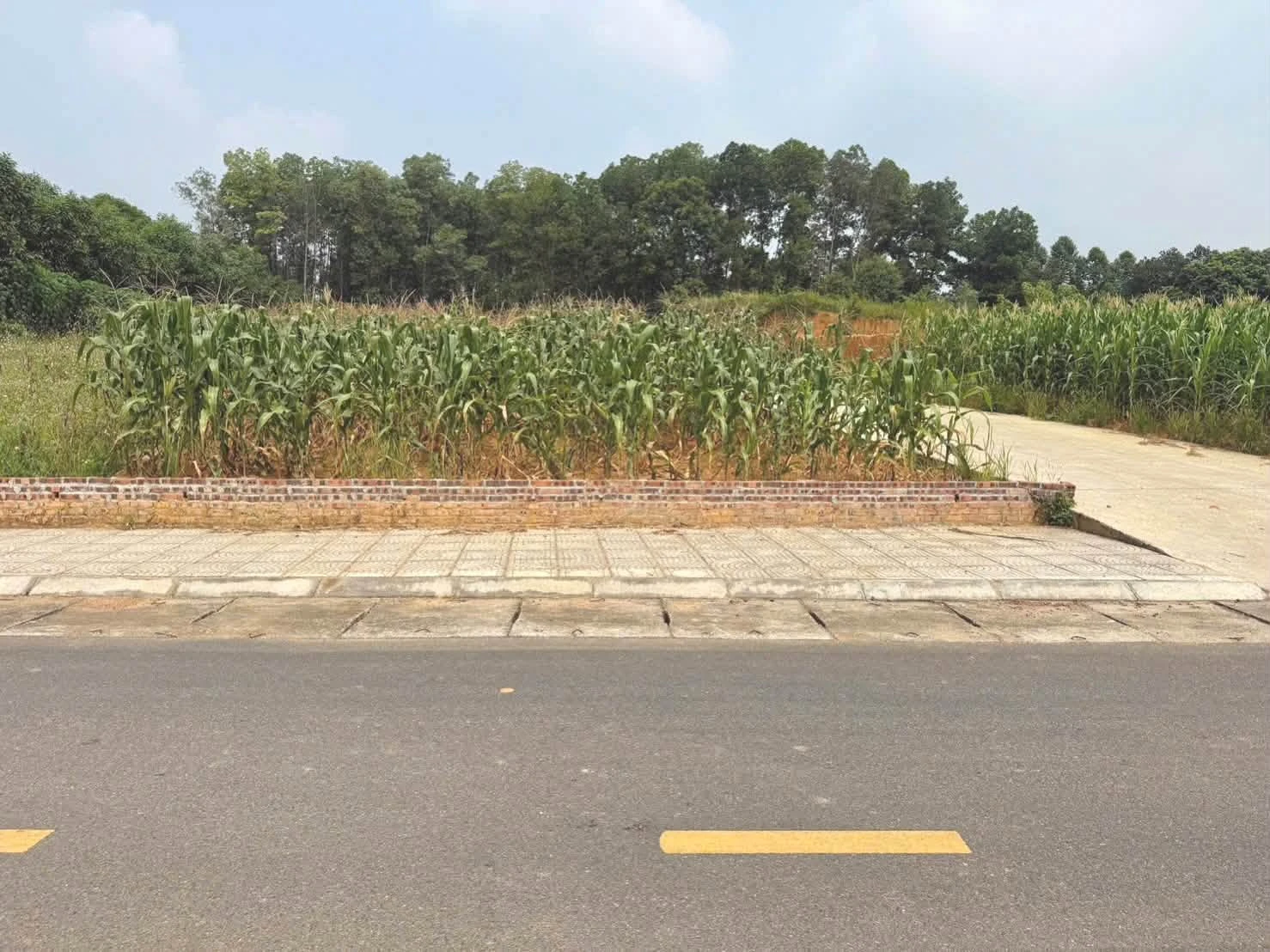 Bán đất 106.6m² gần Cụm CN Bắc Lâm Thao, Bình Chánh - Ảnh 1
