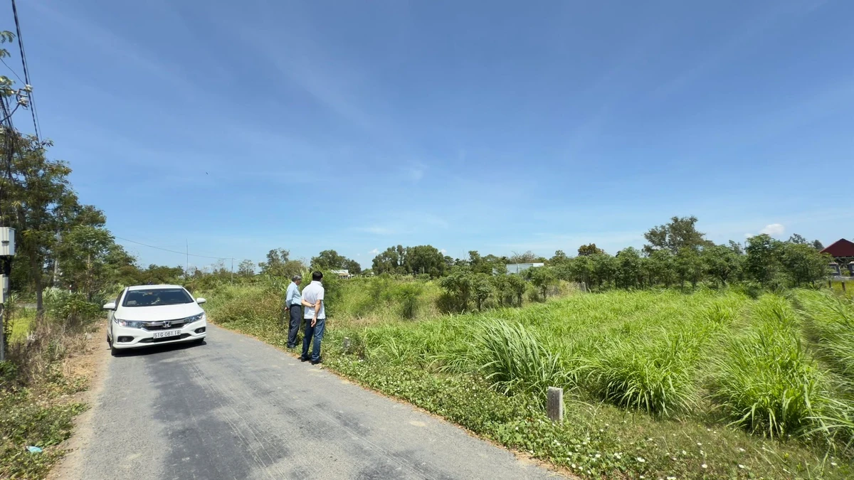 Bán đất mặt tiền đường nhựa 2.000m² giá 6,5 tỷ tại Gò Công, Đồng Tháp - Ảnh 1