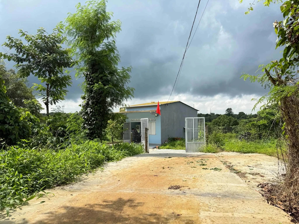 Bán lô đất sào thổ cư 300m2 view cánh đồng xã Ea Nuol, cách TP Buôn Ma Thuột 7km, giá 3,999 tỷ - Ảnh thu nhỏ 5