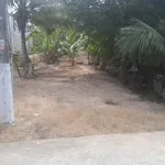 Bán đất vườn dừa 1160 m² tại Phú Tân, Cần Giờ - Ảnh thu nhỏ 5
