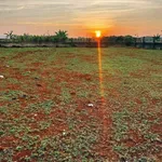 Bán lô đất 5x30m Lý Thái Tổ Quận 7 - Ảnh thu nhỏ 4