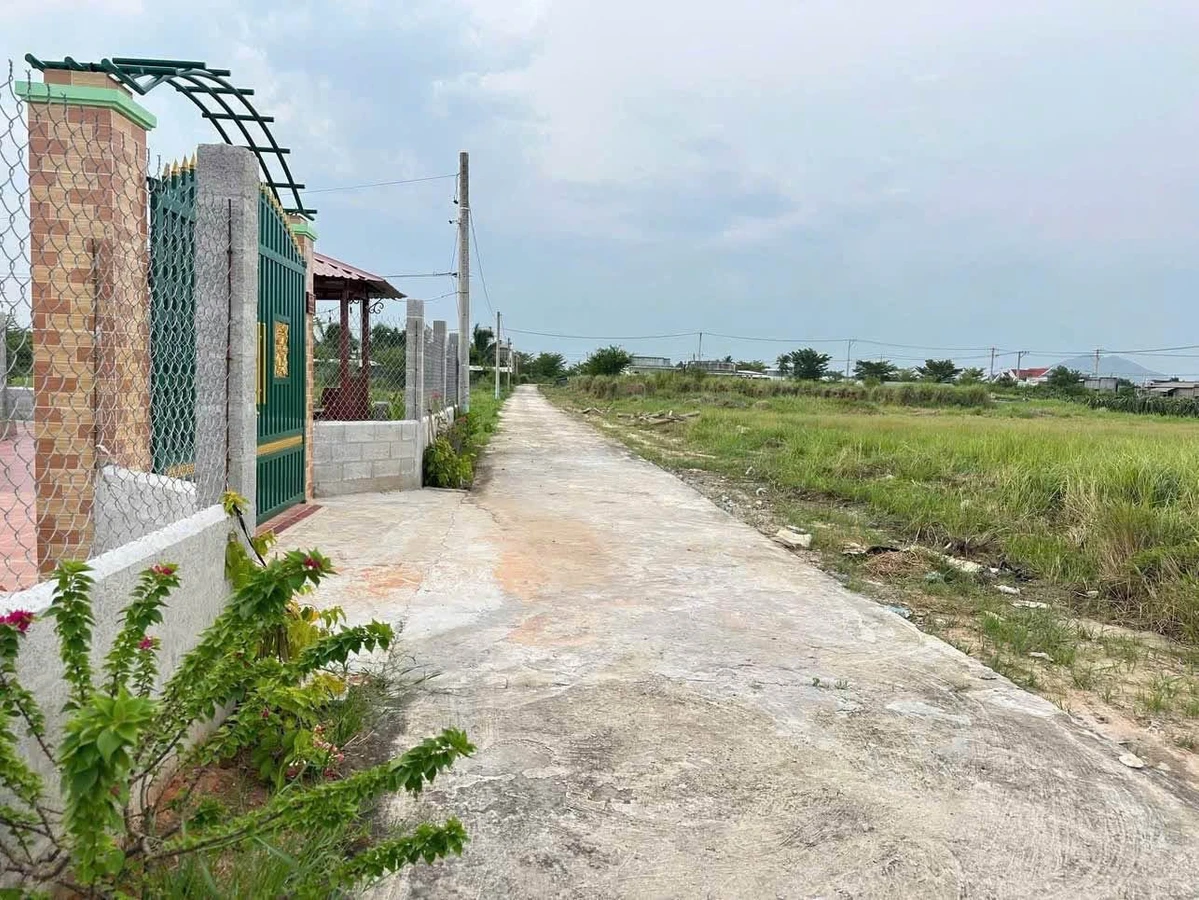Bán lô đất 698m² mặt tiền Lâm Đồng - Ảnh thu nhỏ 2
