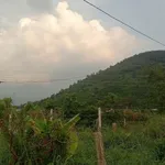 Bán nhà xây kiên cố 150m² view núi Bà Tây Ninh 580 triệu - Ảnh thu nhỏ 1