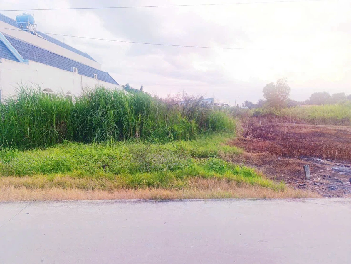 Bán đất thổ cư 165m2 mặt tiền đường đan, xã Bình Đức, Tây Ninh - Ảnh thu nhỏ 3