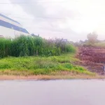 Bán đất thổ cư 165m2 mặt tiền đường đan, xã Bình Đức, Tây Ninh - Ảnh thu nhỏ 3
