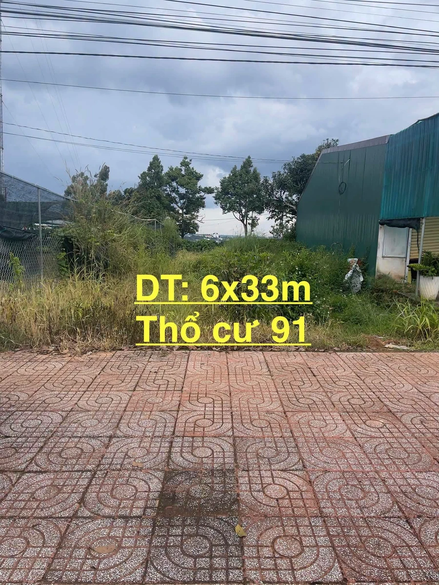 Bán đất mặt đường Lê Thánh Tông 940m² Đắk Nông - Ảnh thu nhỏ 2