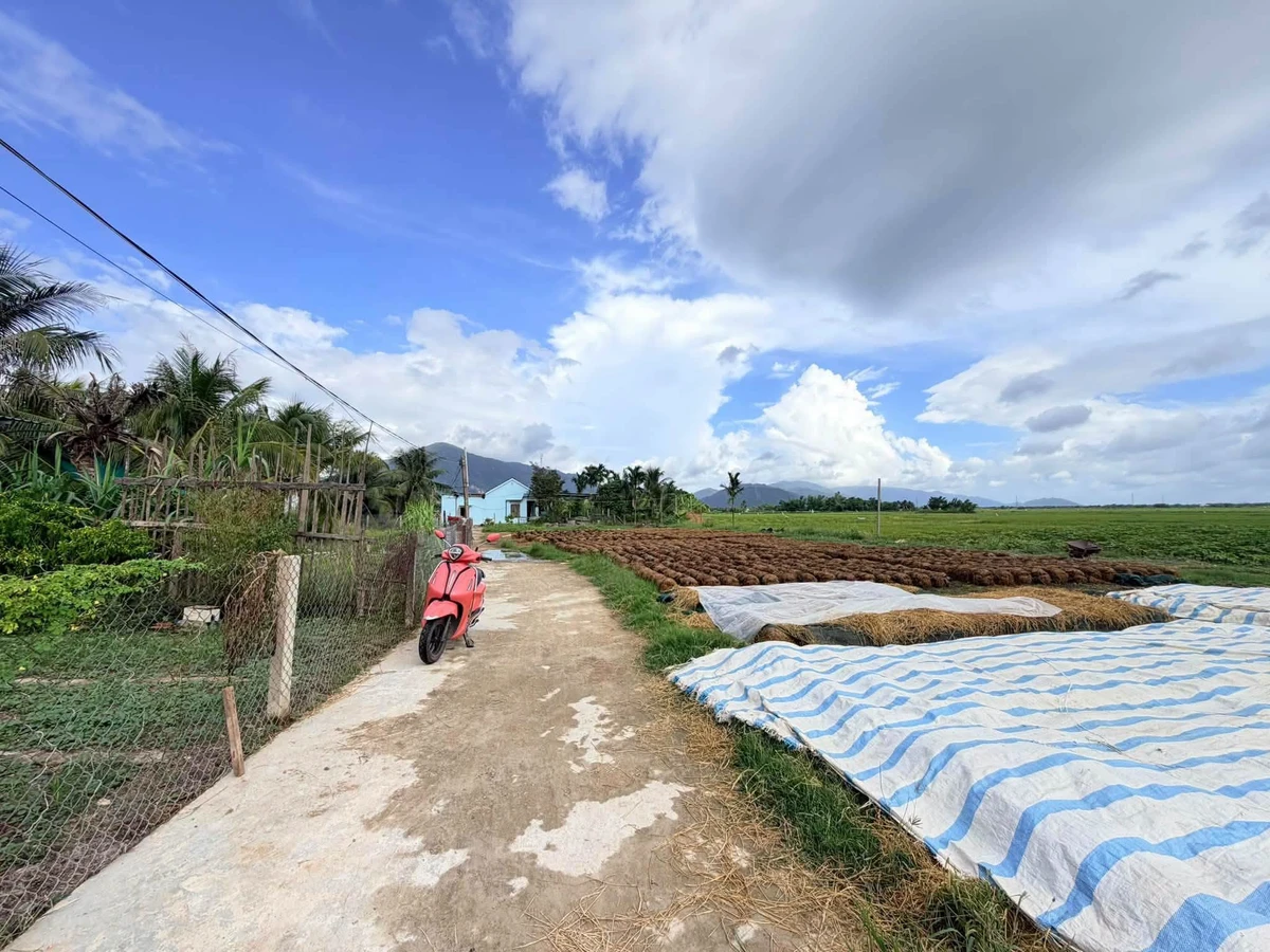 Bán đất 105m² tại Phong Phú, Nhà Bè 270 triệu - Ảnh thu nhỏ 4