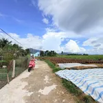 Bán đất 105m² tại Phong Phú, Nhà Bè 270 triệu - Ảnh thu nhỏ 4