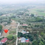 Bán lô góc 2 mặt tiền diện tích 781m2 giáp KCN Nhuận Trạch hơn 200ha đang khởi công - Ảnh thu nhỏ 14
