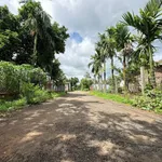 Bán đất nền Tân An Buôn Ma Thuột 245m², 1,35 tỷ - Ảnh thu nhỏ 2
