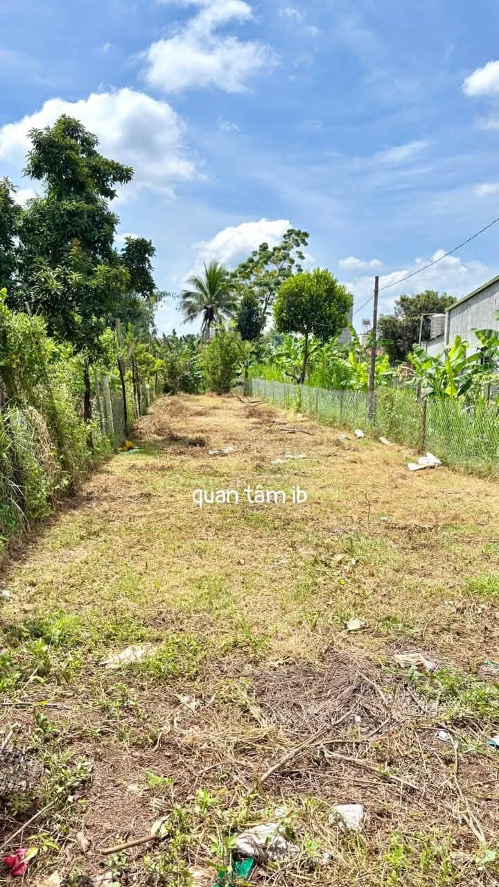 Bán đất thổ cư 6x60m đường Chi Lăng, phường Khánh Xuân cũ, Buôn Ma Thuột giá 1 tỷ 350 - Ảnh 1
