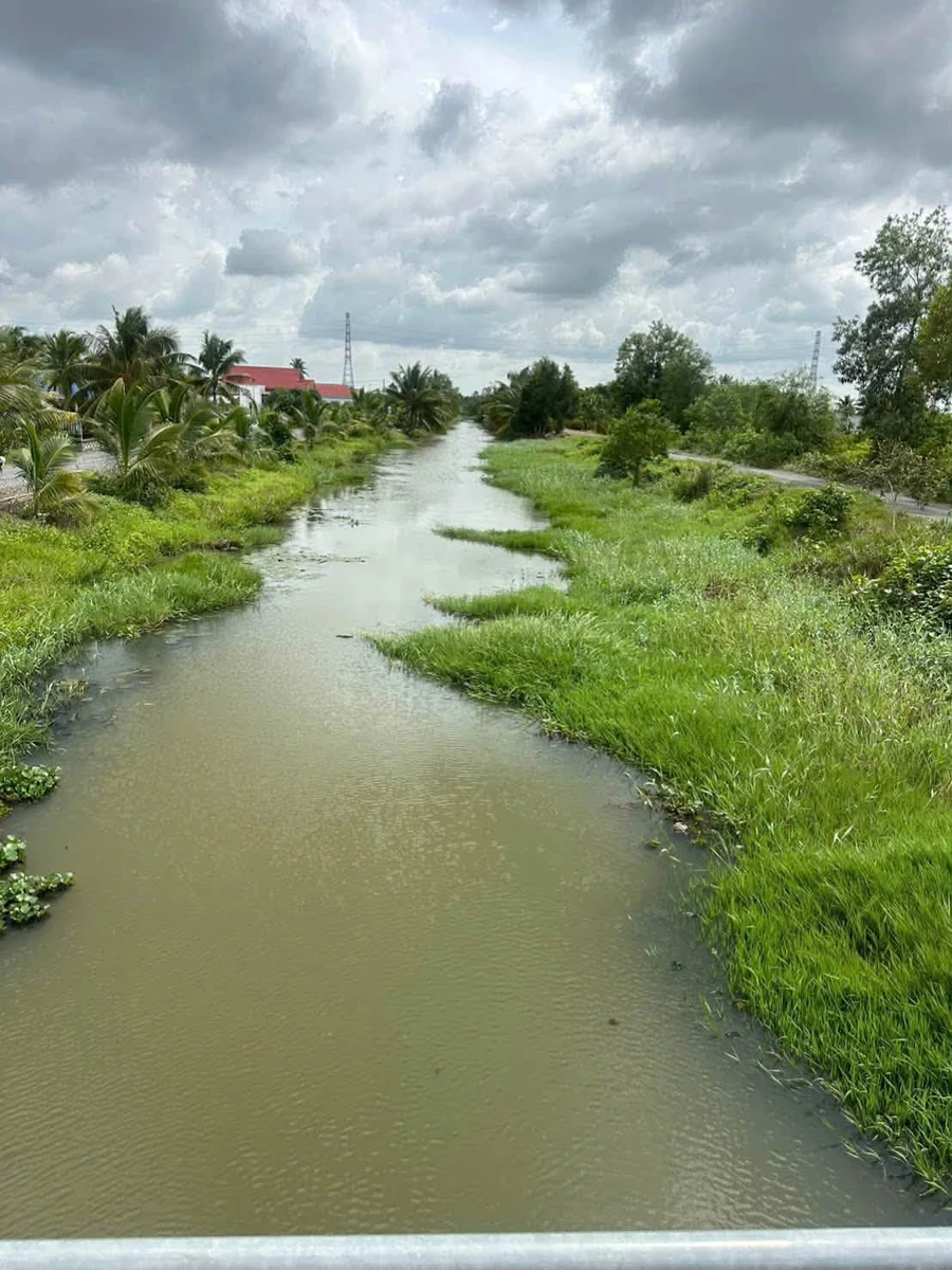 Bán đất 1052m2 loại HNK mặt tiền kênh, view sông tại xã Tân Thành, Thủ Thừa - Ảnh thu nhỏ 3
