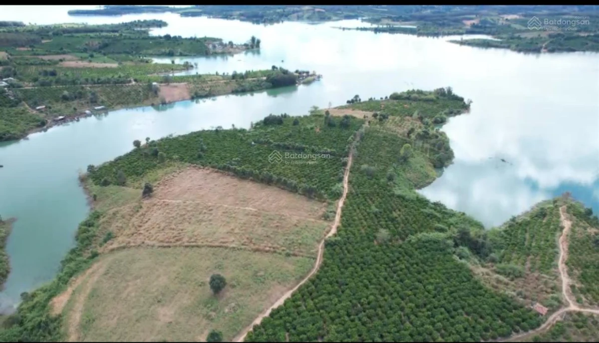 Bán đất view hồ ở Đăk Hà, Kon Tum - Ảnh thu nhỏ 2