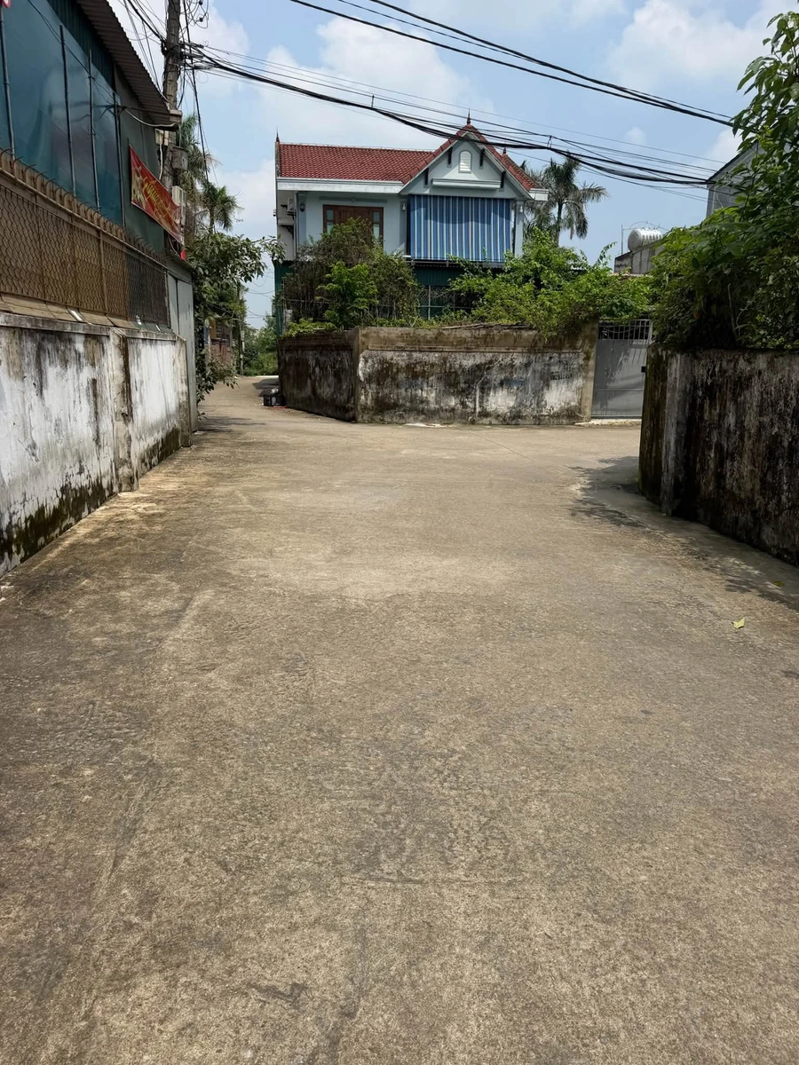 Bán đất kèm nhà cấp 4 119,5m² Nghệ An 3 tỷ - Ảnh thu nhỏ 3