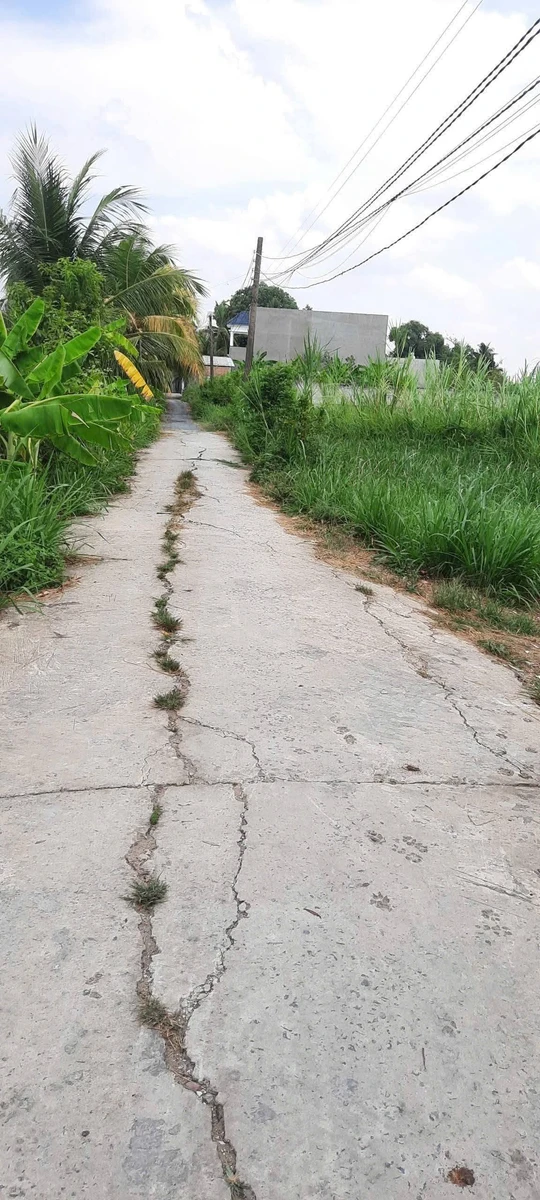 Bán đất thổ hẻm 115m² Phường 4 Tân An Long An 990 triệu - Ảnh thu nhỏ 3