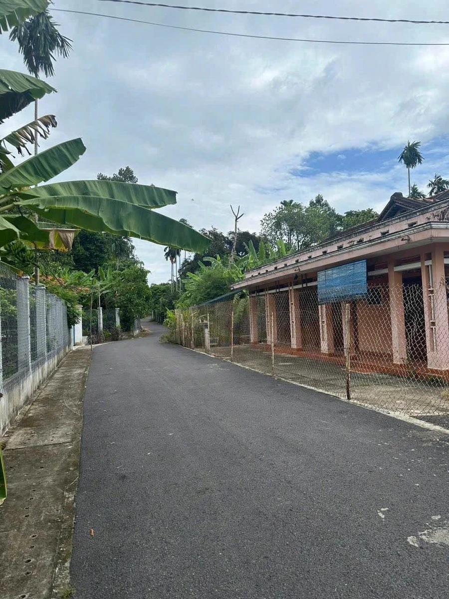 Bán nhà C4 cổ xưa 563m² Phường Chánh Hưởng Bình Chánh - Ảnh thu nhỏ 5