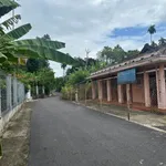 Bán nhà C4 cổ xưa 563m² Phường Chánh Hưởng Bình Chánh - Ảnh thu nhỏ 5
