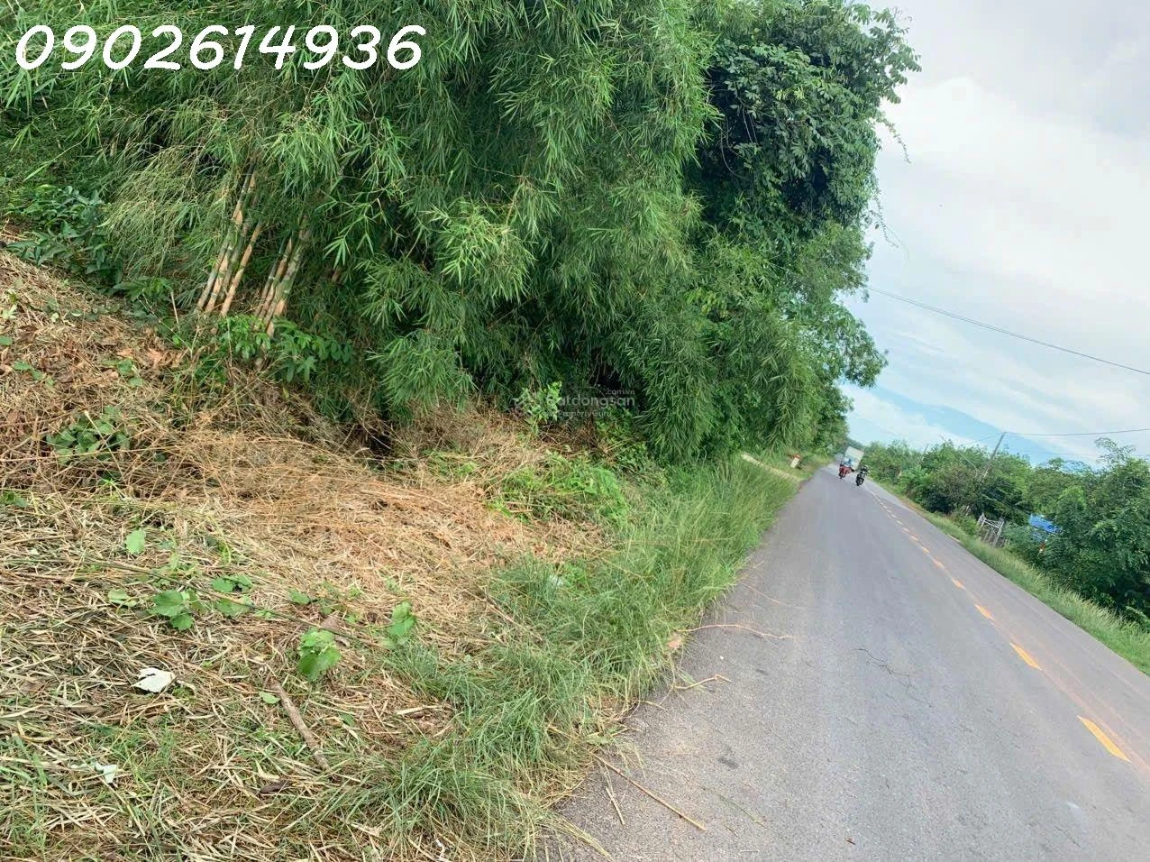 Bán đất đường Lò Rèn, Long Hòa, 24tỷ, 8000m2 view đẹp Hot! - Ảnh 1