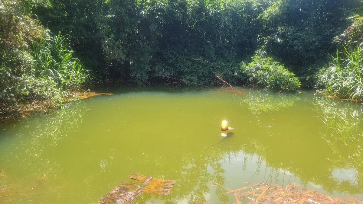 Bán đất đỏ 1,6ha mặt tiền 90m Bình Dương - Ảnh 1