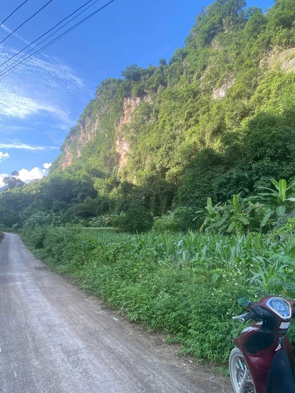 Bán đất Kim Bôi Hòa Bình 1.200m² suối chảy 1,4 tỷ