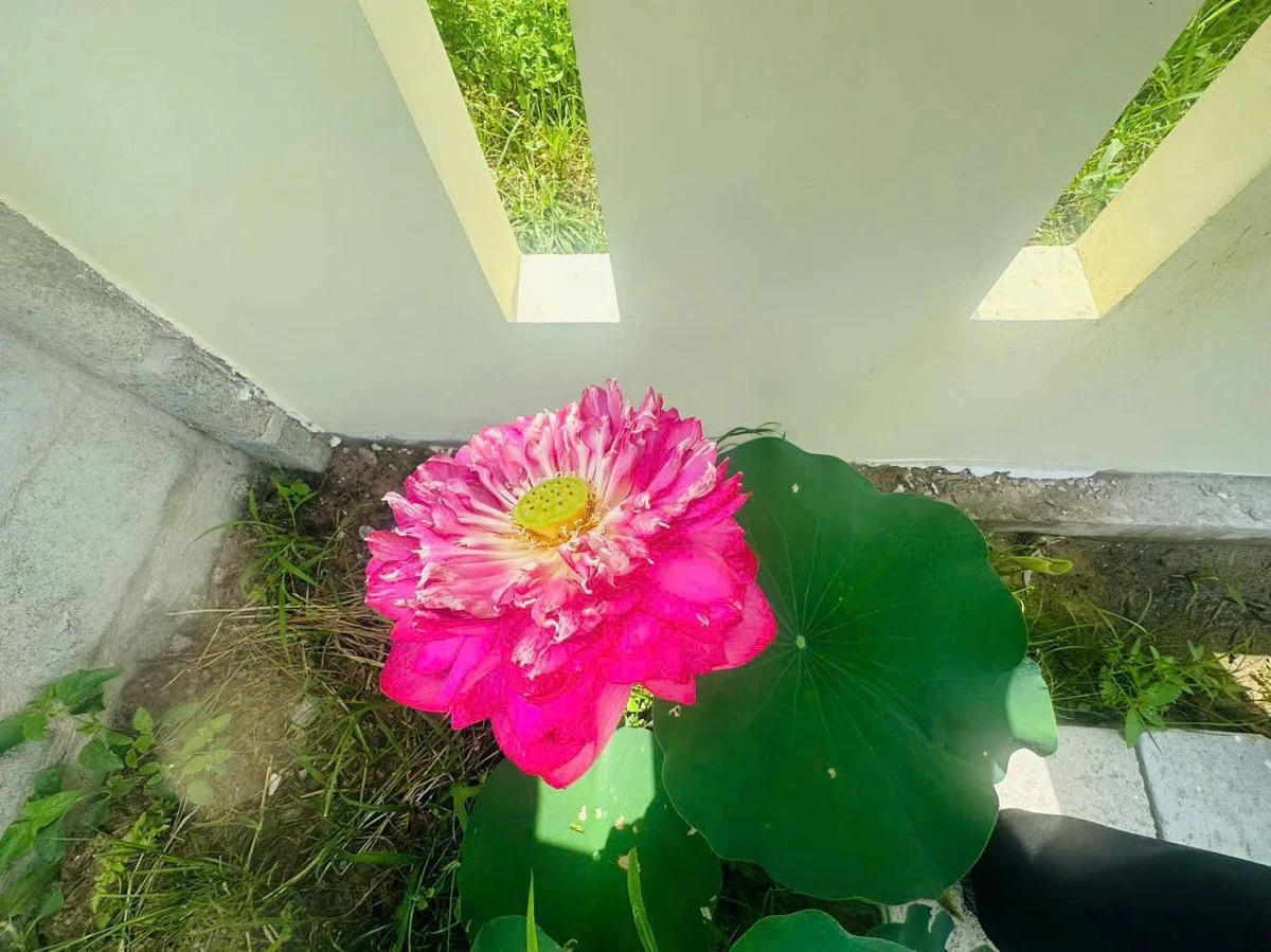 Bán nhà vườn 1800m² gần Phan Thiết 2 tỷ 2 - Ảnh 1