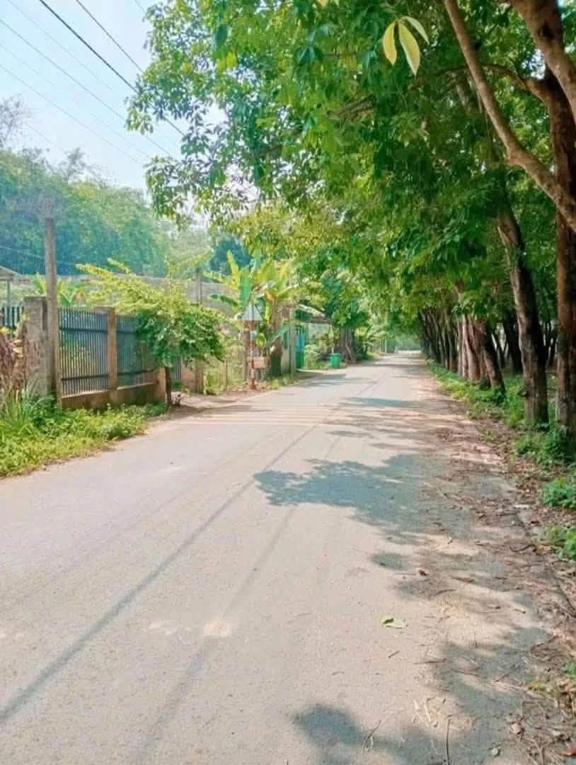 Bán lô đất 4.809m² Phú An, Thủ Đức - Ảnh thu nhỏ 2