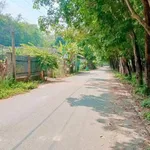 Bán lô đất 4.809m² Phú An, Thủ Đức - Ảnh thu nhỏ 2