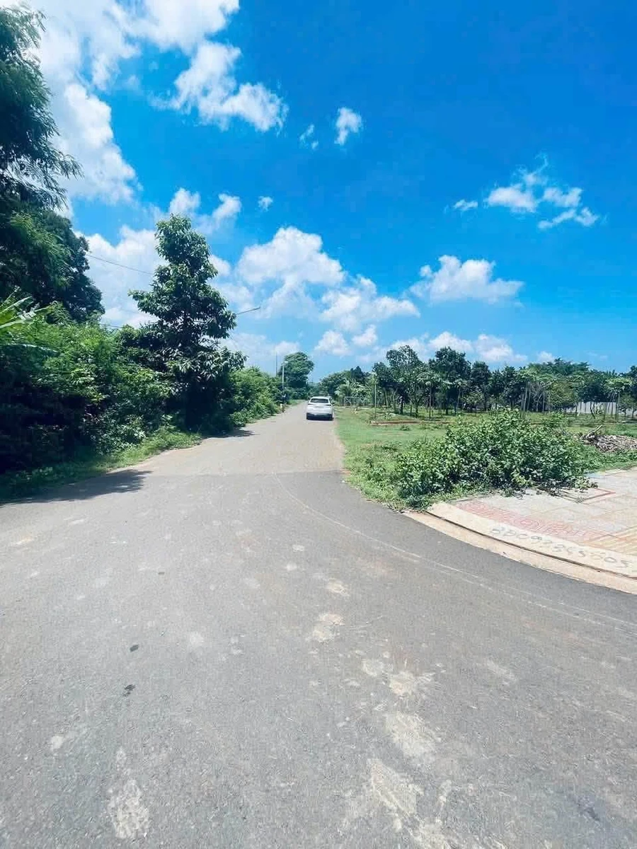 Bán 600m² đất vườn trái cây Long Phước 1 tỷ 750 triệu - Ảnh thu nhỏ 3