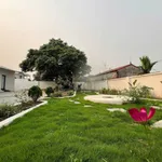 Bán nhà vườn 311m tại Lương Sơn, Hòa Bình - 4.1 tỷ - Ảnh thu nhỏ 3