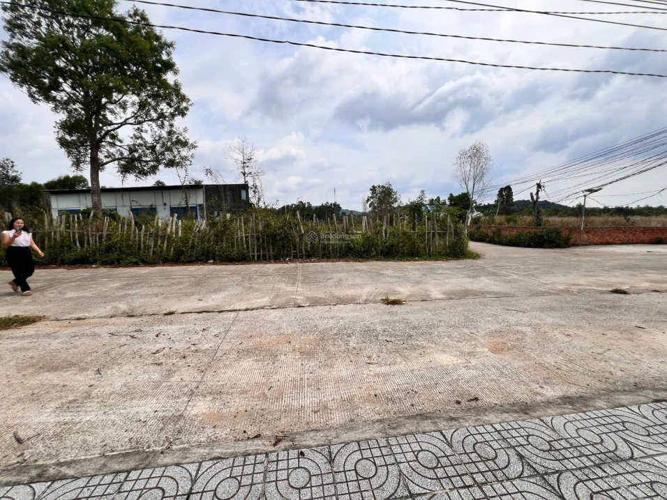 Bán đất mặt tiền đường Trung Đoàn 15m, 120m2 có thổ cư 100m2, giá chỉ 2,3 tỷ - Ảnh 1