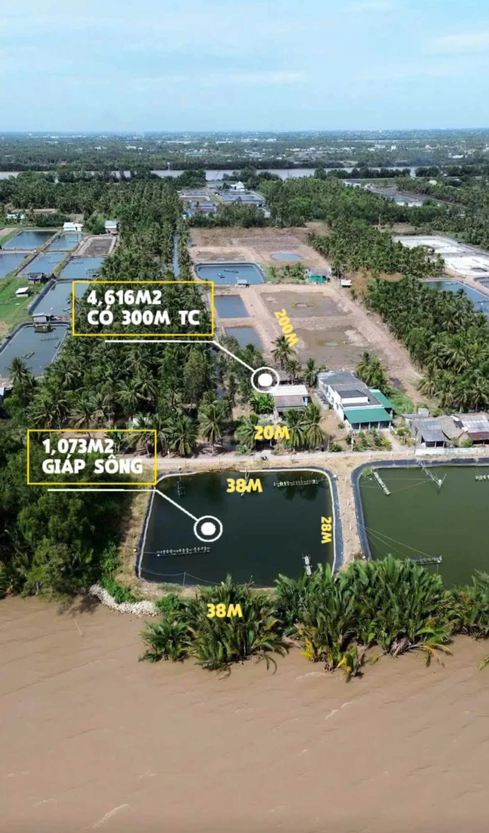 Bán đất mặt tiền sông Cửa Đại 4,366m2 Tiền Giang - Ảnh thu nhỏ 3