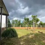 Bán nhà vườn 600m2 Nguyễn Xuân Nguyên, Hóc Môn - Ảnh thu nhỏ 3