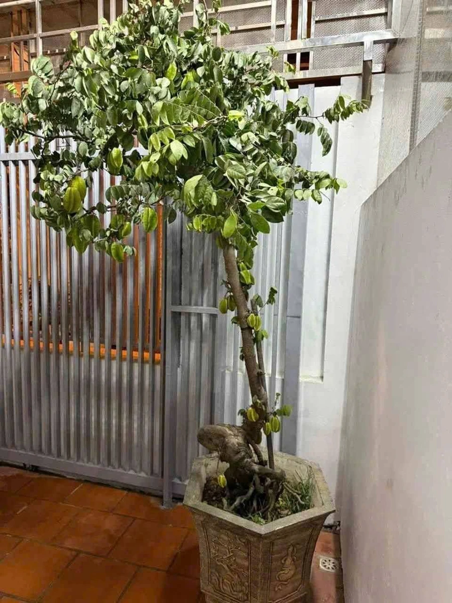 Bán nhà 4 tầng 4PN mặt ngõ 50m gần Tam Bạc, Quận 1 - Ảnh thu nhỏ 3