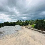 Bán đất mặt tiền đường nhựa 572,7m² (125m² thổ cư) giá 1,2 tỷ tại Đông Thành, Vĩnh Long - Ảnh thu nhỏ 2