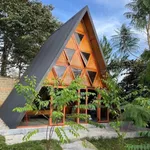 Cho thuê nhà vườn dài hạn 3000m² Bảo Lộc 12 triệu/tháng - Ảnh thu nhỏ 2