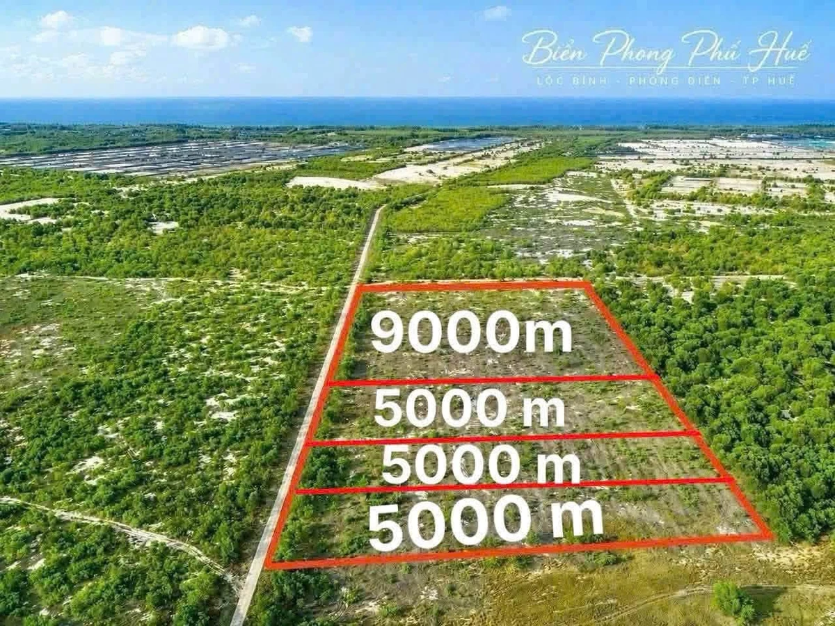 Bán 4,4 ha đất rừng sản xuất ven biển Phong Phú, Huế, giá 395 triệu/ha - Ảnh 1